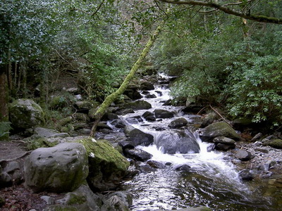 Irland